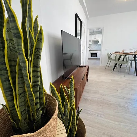 Apartment Apto Brisa *